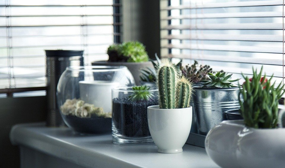 10 Essential Tips for Creating a Cozy and Sustainable Home Environment