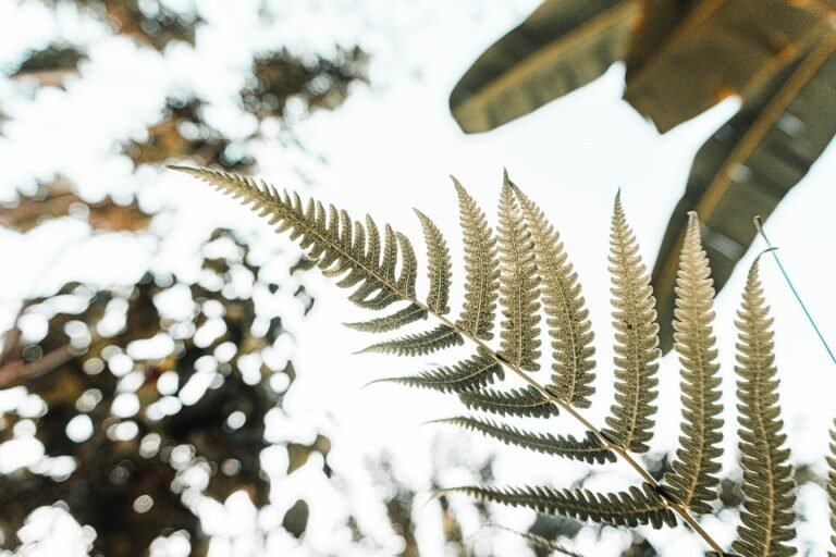 Building a Thriving Ecosystem: Essential Practices for Sustainable Gardening