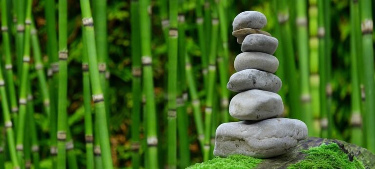 Essential Materials for Durable Outdoor Furniture: A Comprehensive Guide